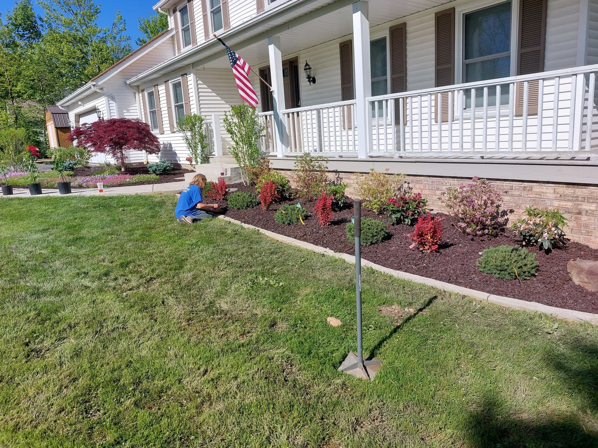 Fresh flower bed